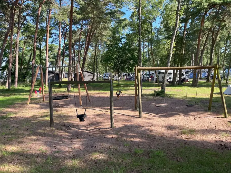 Gungor och klätterställning bland tallarna
