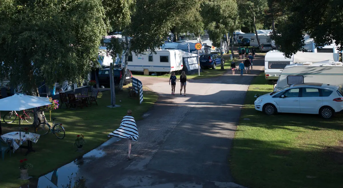 Väg genom campingen bland träden