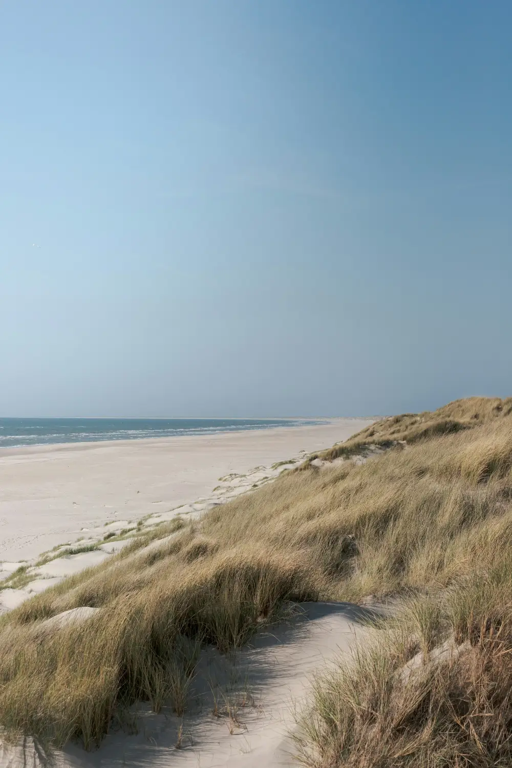 Stig genom dynerna ned mot stranden